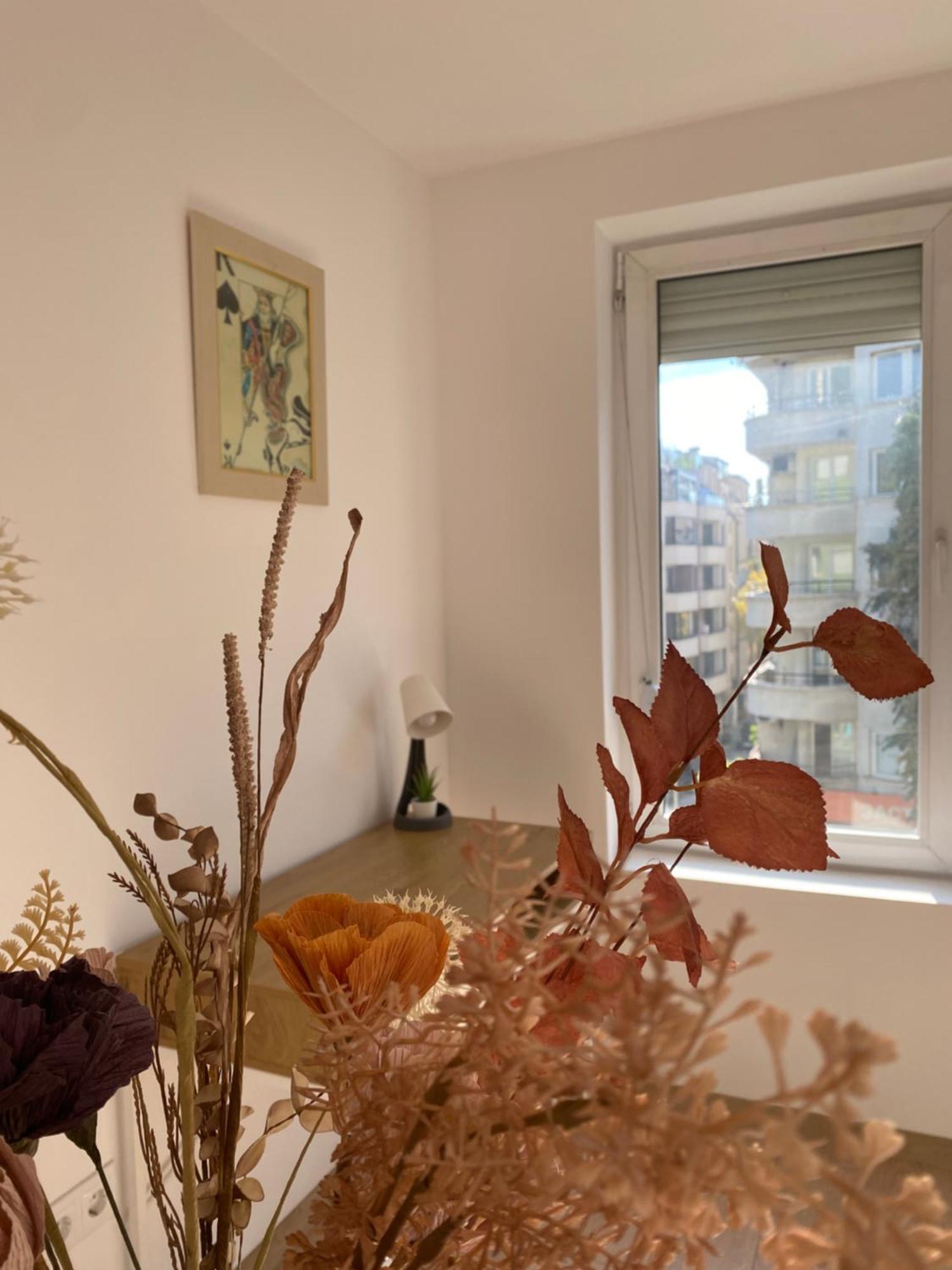 Sophie Studio - City Center Blagoevgrad Extérieur photo